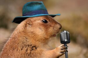 Ein Präriehund mit einem türkisfarbenen Cowboyhut singt in ein Mikrofon :)